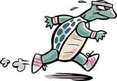 running turtle
